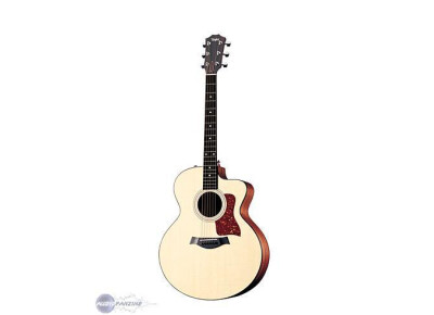 Taylor 315ce