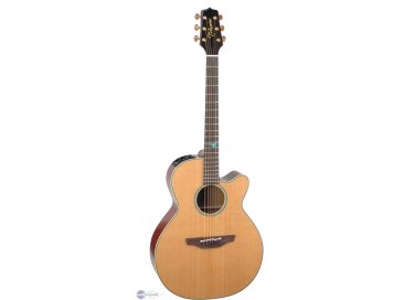 Takamine TSF40C