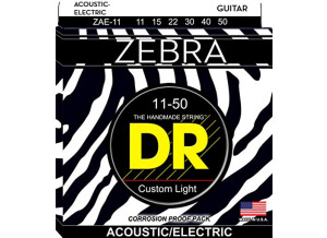 Dr Strings Zebra Acoustic