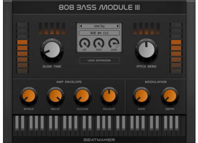 Electronik Sound Lab 808 Bass Module III