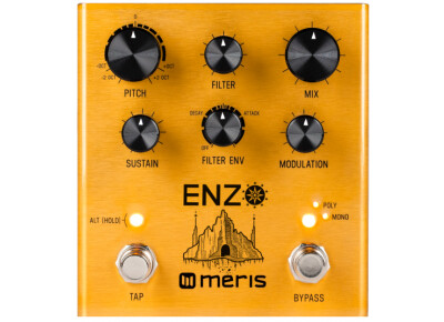 Meris Enzo
