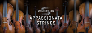 VSL (Vienna Symphonic Library) Synchron-ized Appassionata Strings
