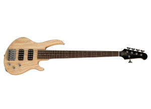 Gibson EB Bass 5 2019