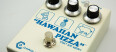 La pizza hawaïenne de Caroline Guitar Company
