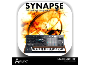 Barb and Co Synapse MatrixBrute