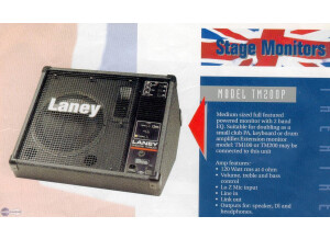 Laney TM200P