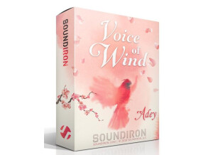 Soundiron Voice Of Wind: Adey
