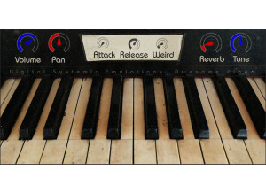 Digital Systemic Emulations Awesome Piano