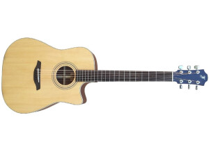 Furch D21-SW Cut