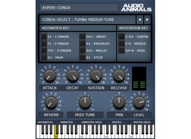 Audio Animals Aspire Conga