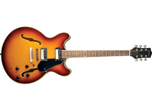Jay Turser JT-133