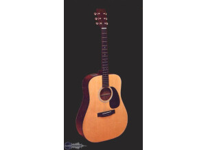 Takamine EF340