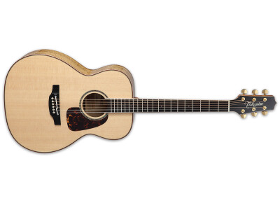 Takamine TLD M2
