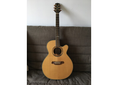 Takamine LTD1999 The Mountain