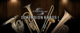 VSL Synchron-ise ses Vienna Dimension Brass