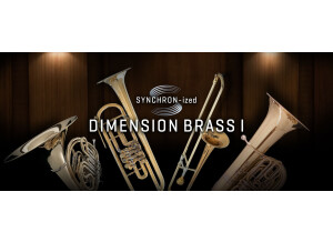 VSL (Vienna Symphonic Library) Synchron-ized Dimension Brass I