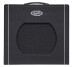 Supro lance le petit combo Blues King 12
