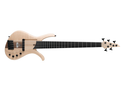 Ibanez AFR5FMP
