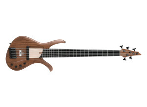 Ibanez AFR5WAP