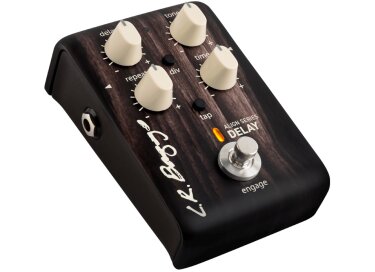 L.R. Baggs Align Delay