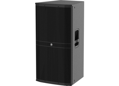 Mackie DRM315-P