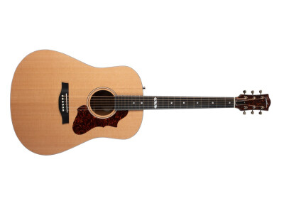 Godin Metropolis Cedar EQ