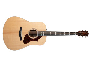 Godin Metropolis LTD EQ