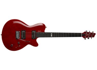 Godin Signature DS-1