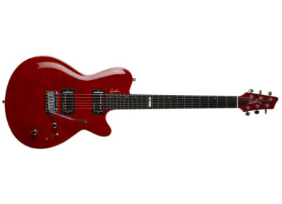 Godin Signature DS-1