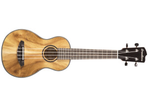 Breedlove Lu'Au Concert Ukulele