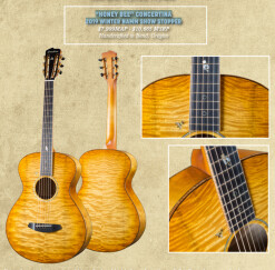 Breedlove dévoile trois modèles "spécial NAMM"