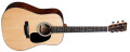 Un nouveau modèle Dreadnought chez Martin