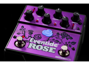 Eventide Rose