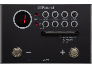 Roland TM-1