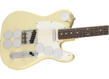 Fender Limited Edition Jimmy Page Mirrored Telecaster