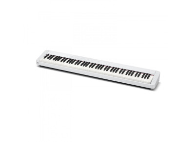 Casio Privia PX-S1000