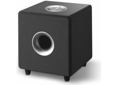 Focal iCub