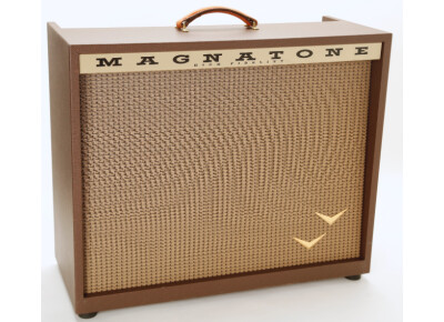 Magnatone Amps Double V