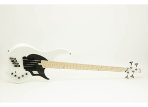 Dingwall NG3 Adam "Nolly" Getgood Signature