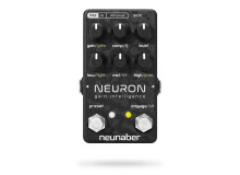 Neunaber Technology Neuron