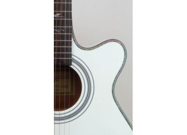 Martin Smith W-401e