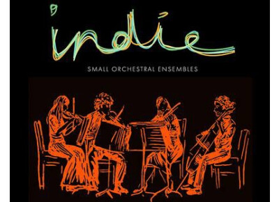 Sonokinetic Indie