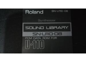 Roland SN-U110-08 : Synthesizer