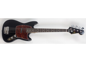 Eastwood Guitars Warren Ellis Bass Guitar