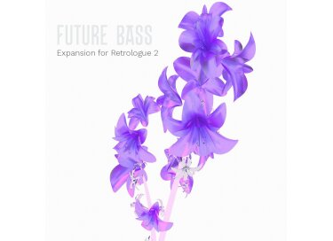 Steinberg Future Bass