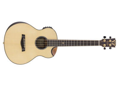 Traveler Guitar CL-3BE