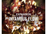 expansion infamous flow