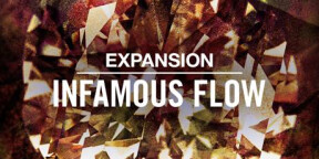expansion infamous flow