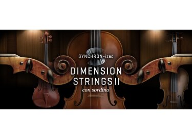 VSL (Vienna Symphonic Library) Synchron-ized Dimension Strings II