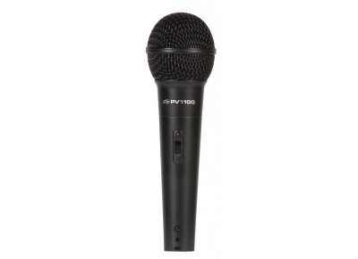 Peavey I 100